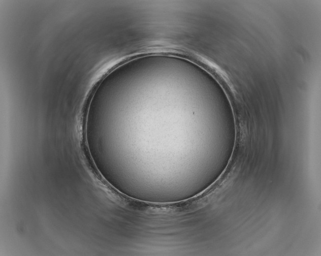 X0000112461415200908311320