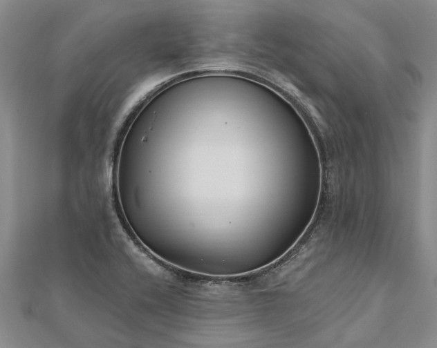 X0000112461416200908311320