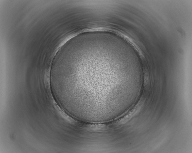 X0000112461417200908311320