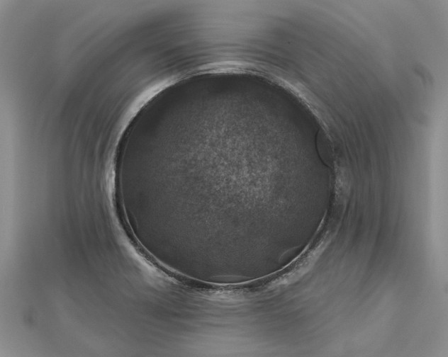 X0000112461418200908311320