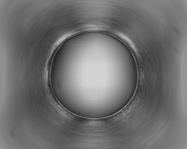 X0000112461419200908311320