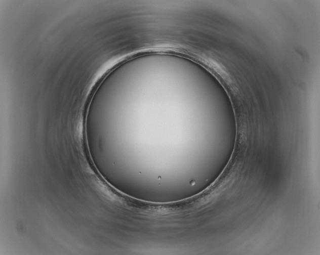 X0000112461420200908311320