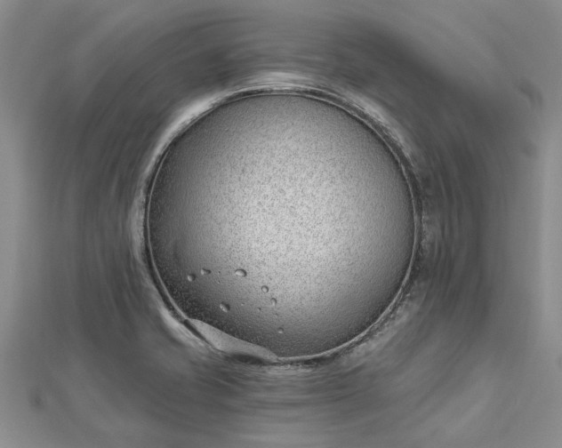 X0000112461421200908311320