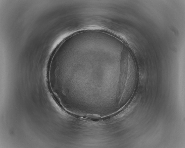 X0000112461422200908311320