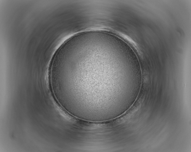 X0000112461423200908311320