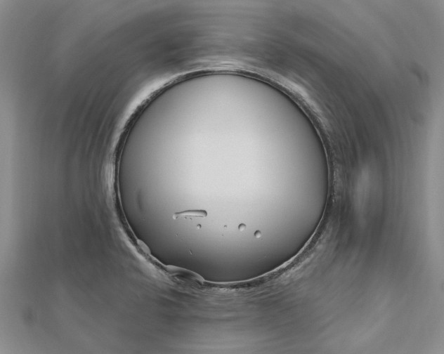 X0000112461424200908311320