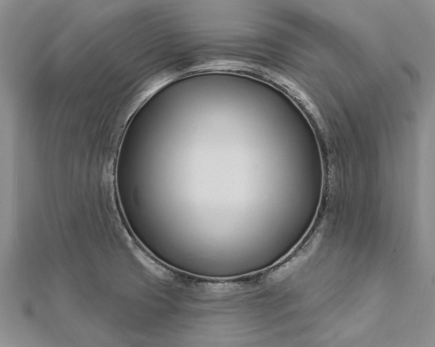 X0000112461425200908311320