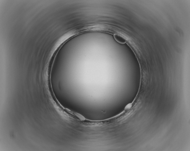 X0000112461426200908311320