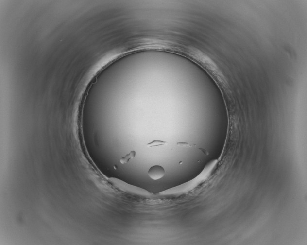 X0000112461427200908311320