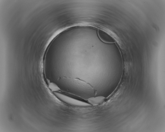 X0000112461428200908311320