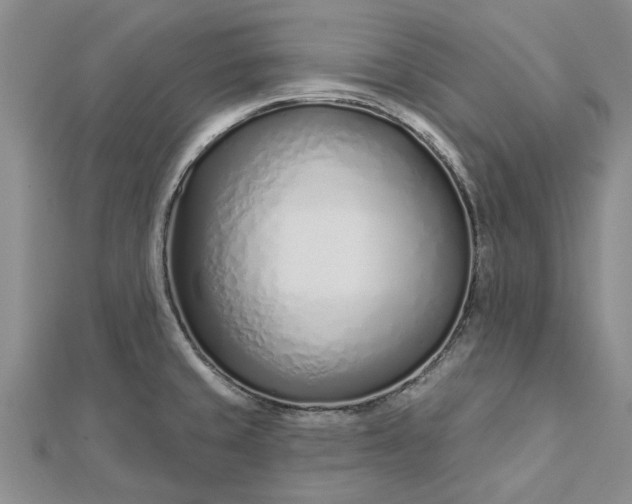 X0000112461429200908311320