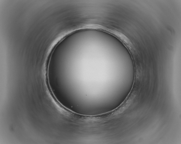 X0000112461430200908311320