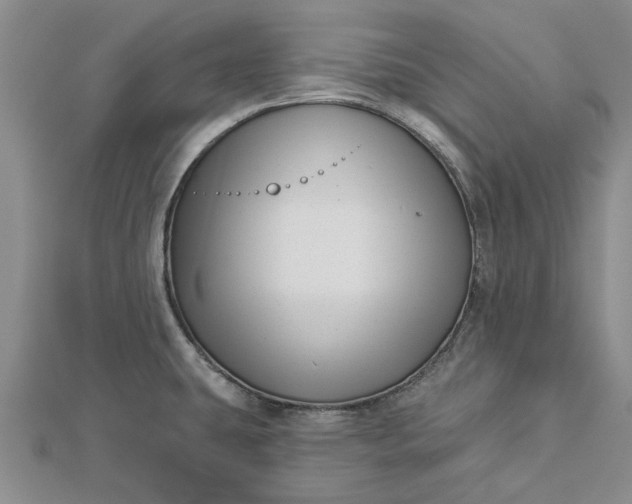 X0000112461431200908311320