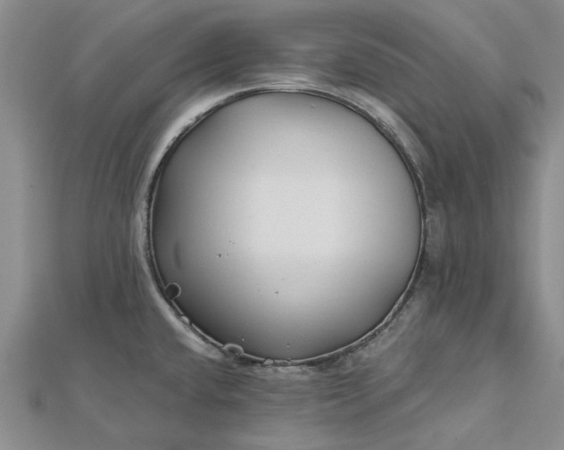 X0000112461432200908311320