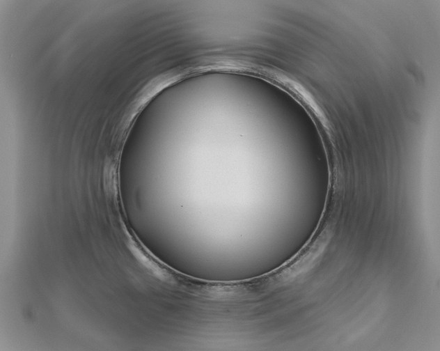 X0000112461433200908311320