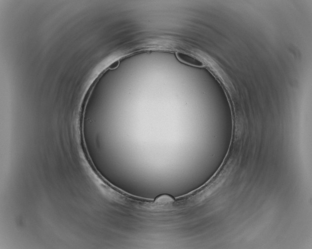 X0000112461434200908311320