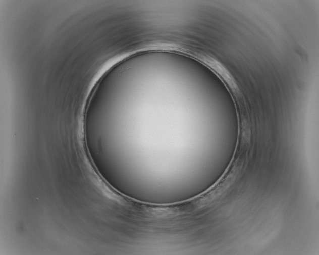 X0000112461436200908311320