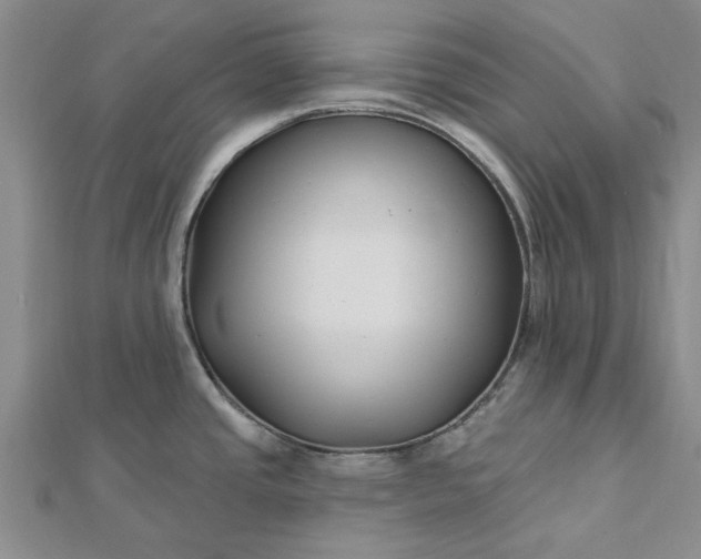 X0000112461437200908311320