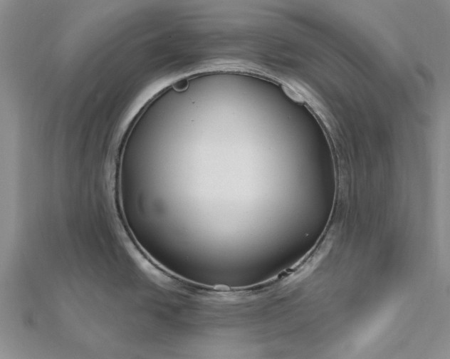 X0000112461438200908311320