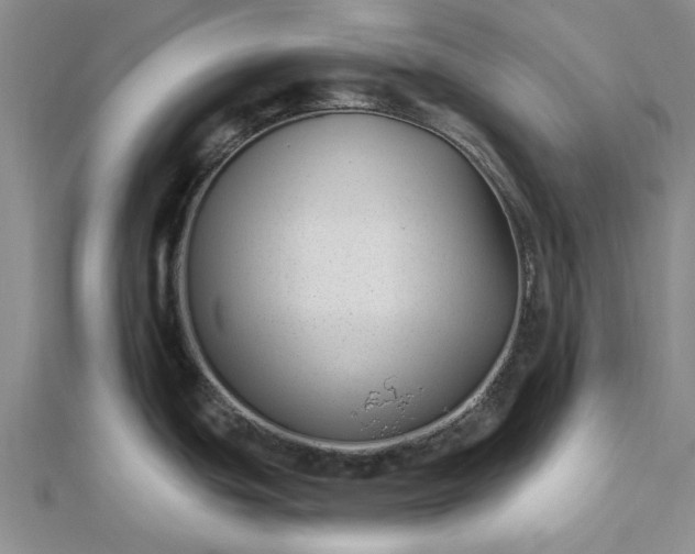 X0000112461439200908311320