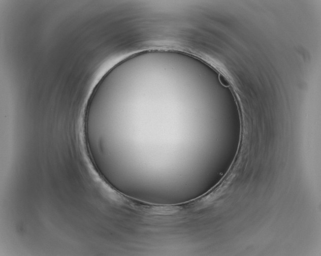 X0000112461440200908311320