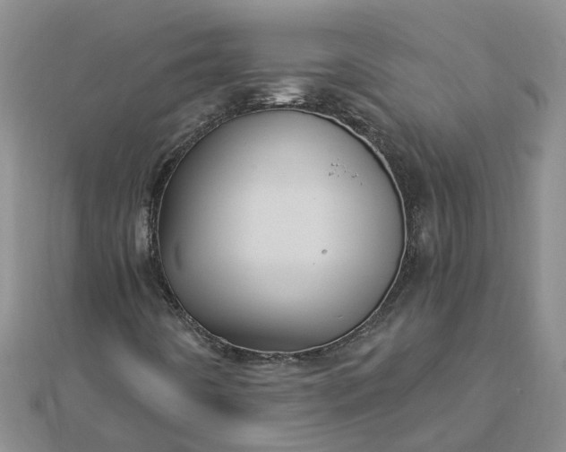 X0000112461442200908311319