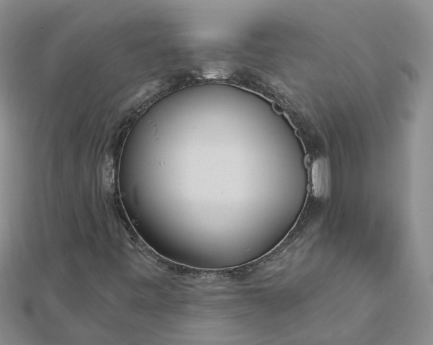 X0000112461443200908311319