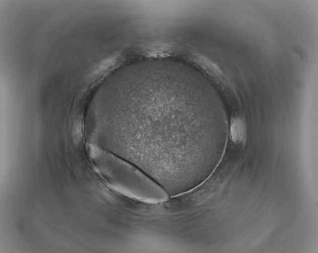 X0000112461444200908311319