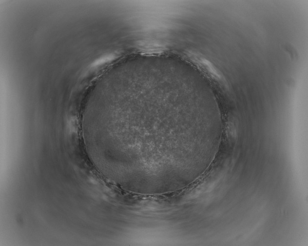 X0000112461445200908311319