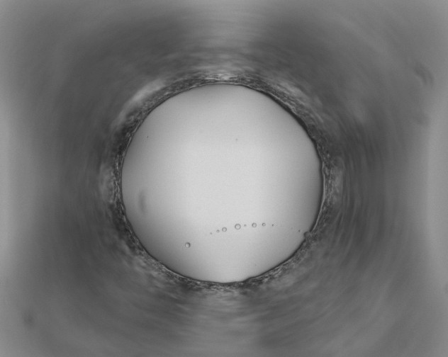 X0000112461446200908311319