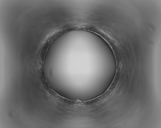 X0000112461447200908311319