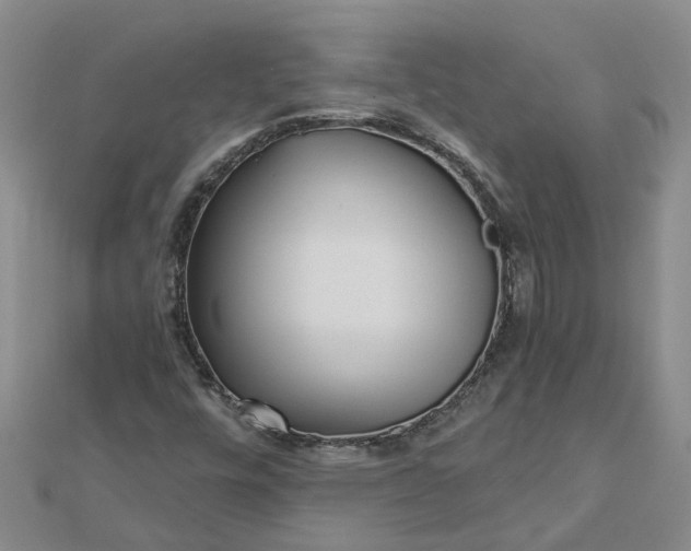 X0000112461448200908311319