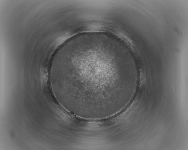 X0000112461449200908311319