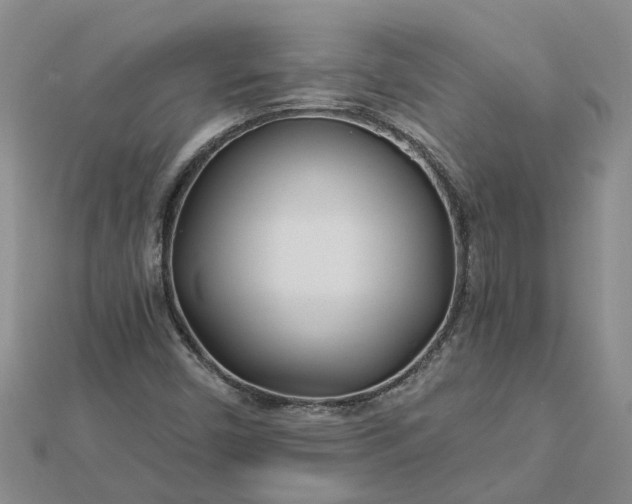 X0000112461450200908311319