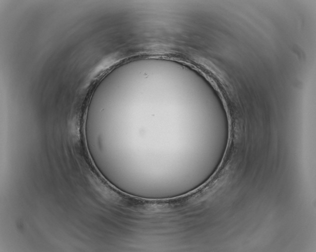 X0000112461451200908311319