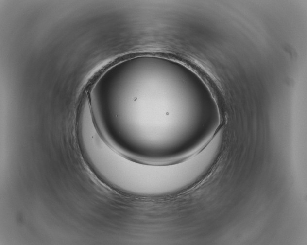 X0000112461452200908311319