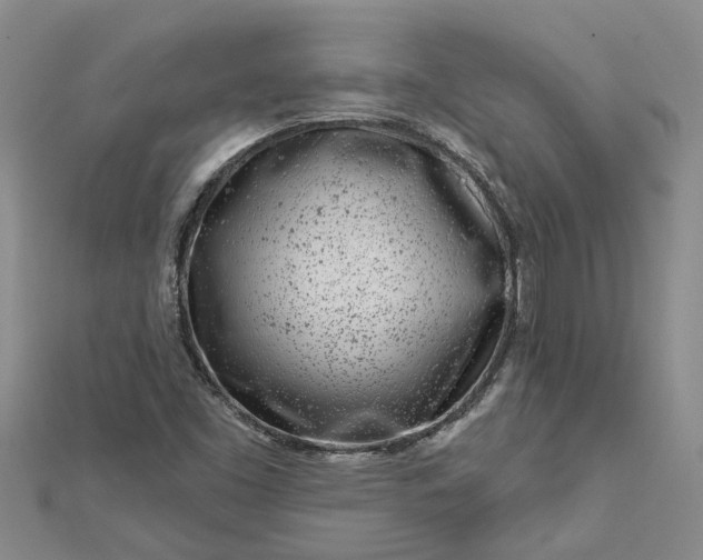 X0000112461453200908311319