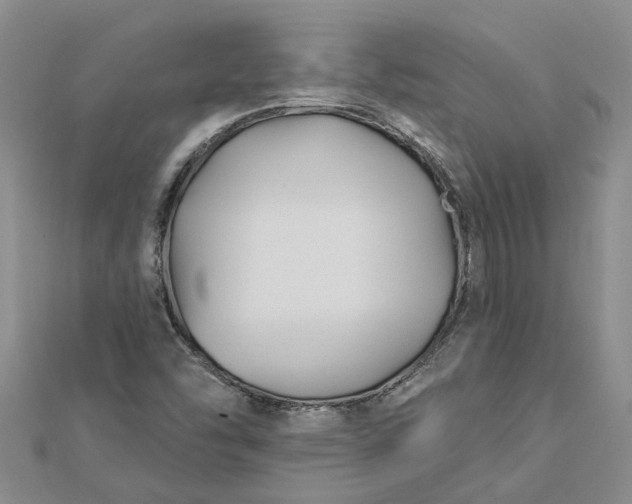 X0000112461454200908311319