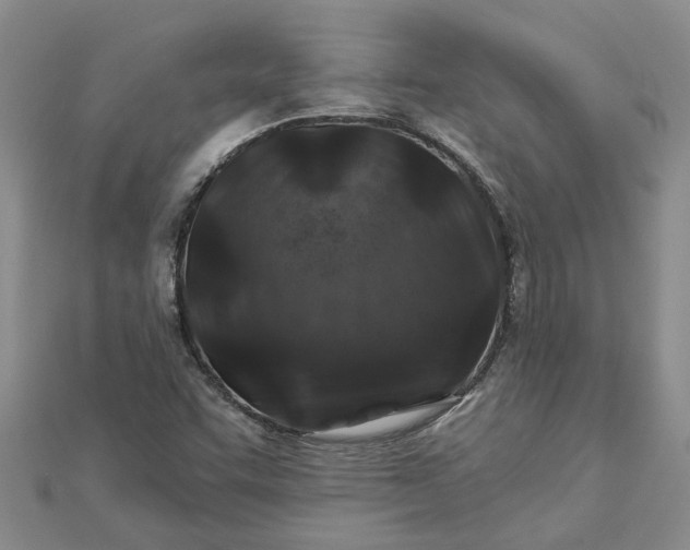 X0000112461455200908311319