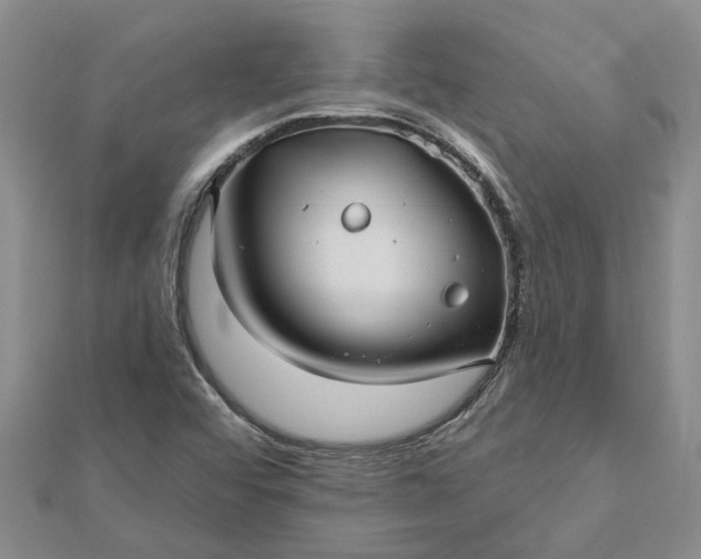 X0000112461456200908311319