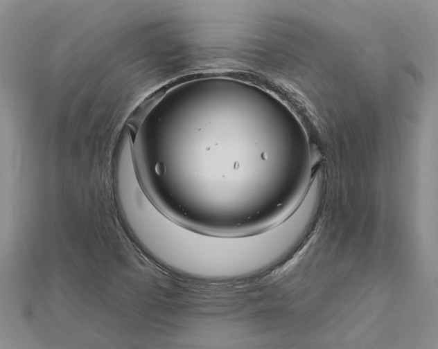 X0000112461457200908311319