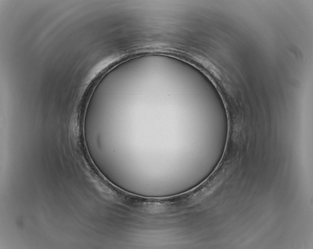 X0000112461458200908311319