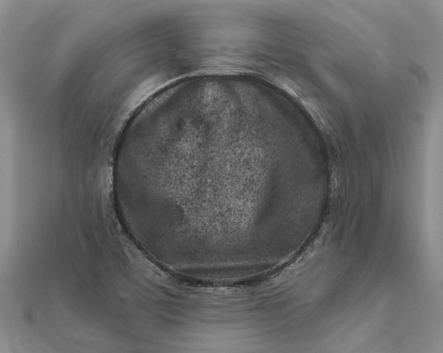 X0000112461459200908311319