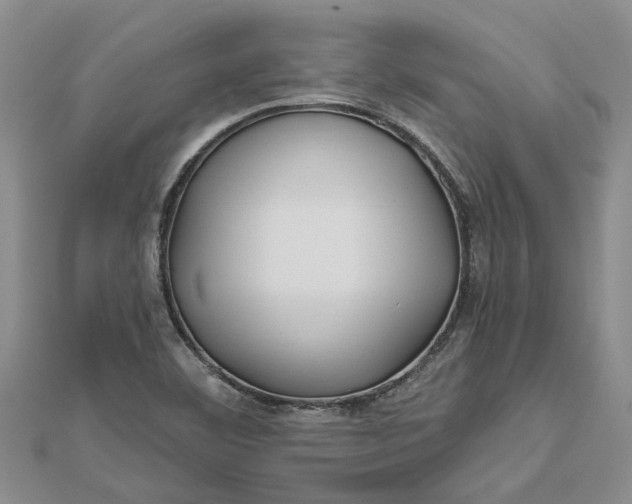 X0000112461460200908311319