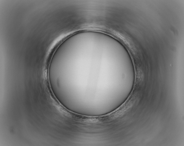 X0000112461462200908311319