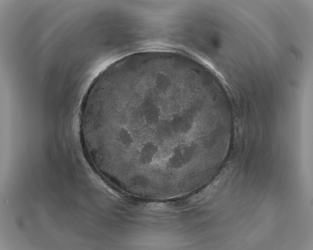 X0000112461463200908311319