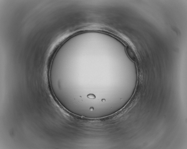 X0000112461464200908311319