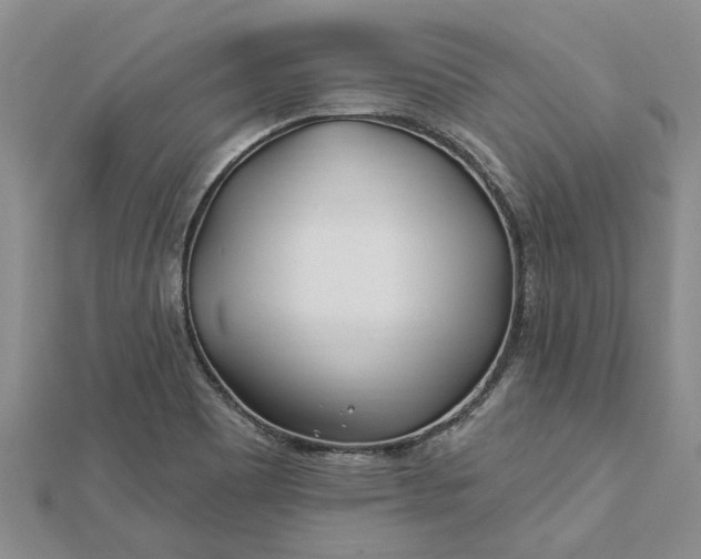 X0000112461465200908311319