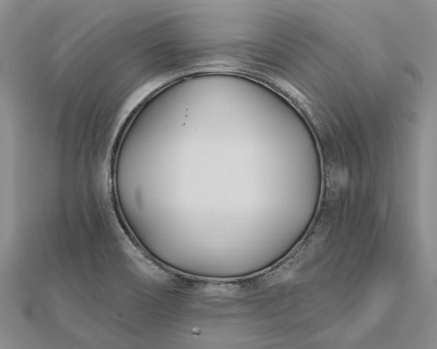 X0000112461466200908311319