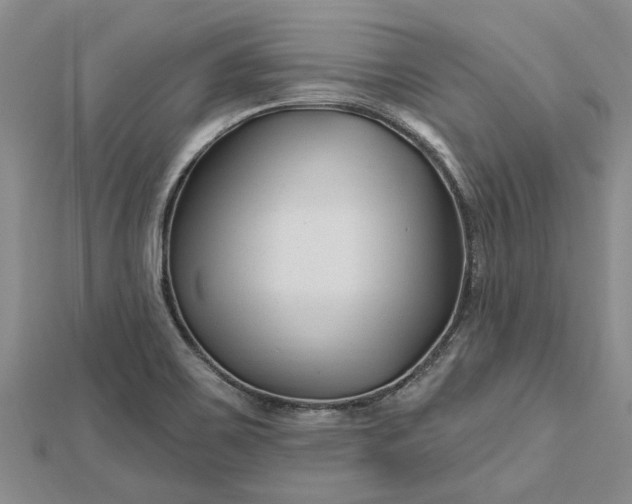 X0000112461467200908311319